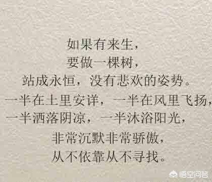 致自己原文（致自己原文我常常告诫自己）