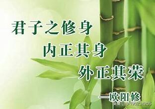 有关阅读的名言佳句（关于阅读的名言名句有哪些）