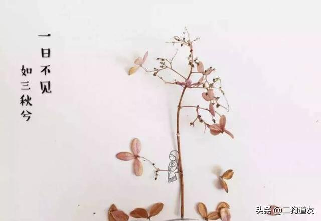 诗经中的爱情诗句（诗经爱情的诗词）