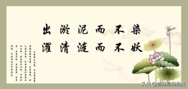 廉政警句廉政格言（廉政警句廉政格言及寓意）