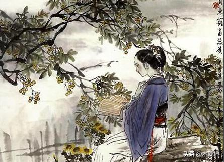 《诗经》全文及翻译（《诗经》全文及翻译古诗文网）