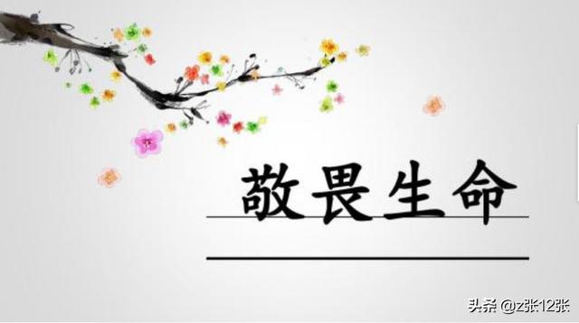 敬畏生命议论文（敬畏生命议论文开头）