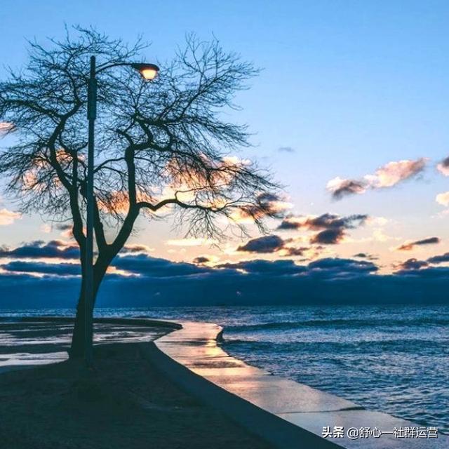 感悟作文（理性的感悟作文）