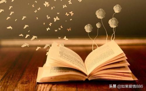 关于读书的诗句小学（关于读书的诗6句）