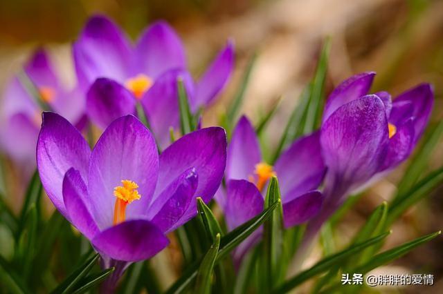 简短人生哲理名言（人生哲理 名言）